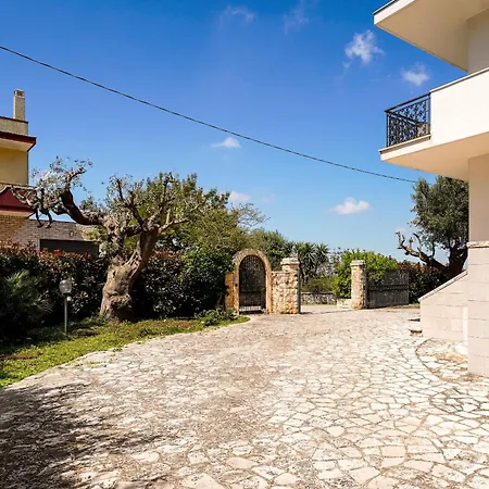 Dragonfly By Barbarhouse 3*