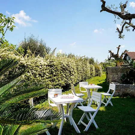 Dragonfly By Barbarhouse